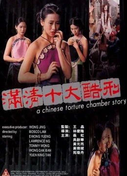 A Chinese Torture Chamber Story