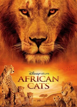 African Cats