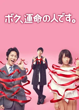 Xem Phim Anh là định mệnh của em Vietsub HD Online