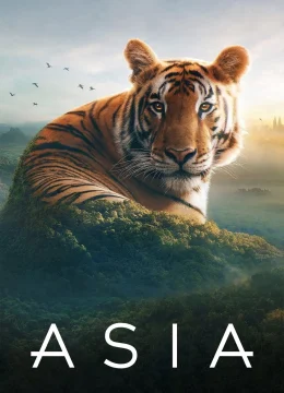 Xem Phim Asia Vietsub HD Online