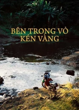 Bên Trong Vỏ Kén Vàng
