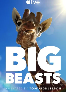 Xem Phim Big Beasts Vietsub HD Online