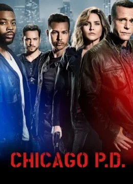 Cảnh Sát Chicago (Phần 4)