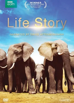 Xem Phim Câu Chuyện Cuộc Sống Vietsub HD Online