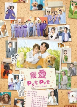 Chó Cưng Của Tôi