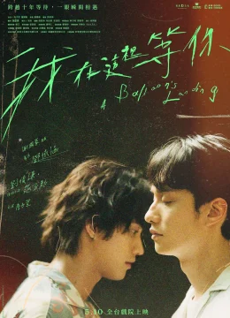 Chờ Người Nơi Pháo Hoa Rực Rỡ