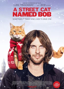 Xem Phim Chú Mèo Đường Phố Vietsub HD Online