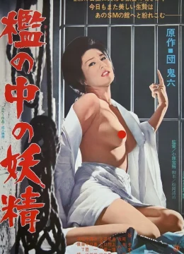 Cổ Tích Trong Lồng