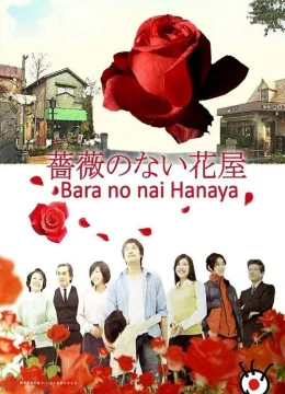 Xem Phim Cửa Hàng Hoa Không Có Hoa Hồng Vietsub HD Online