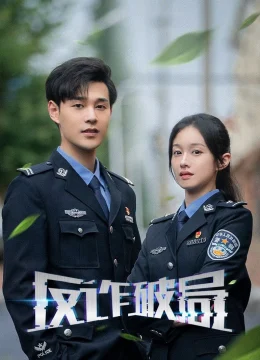 Cuộc Chiến Chống Lừa Đảo