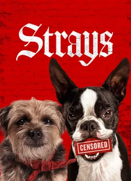 Đời Quá Chó (Những Chú Chó Bụi Đời)