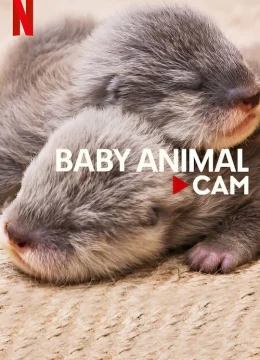 Động vật bé cưng trên camera