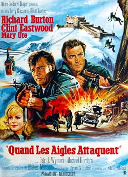 Đột Kích Tổ Đại Bàng