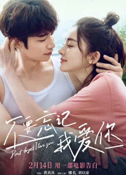 Xem Phim Đừng Quên Anh Yêu Em Vietsub HD Online