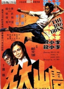 Đường Sơn Đại Huynh