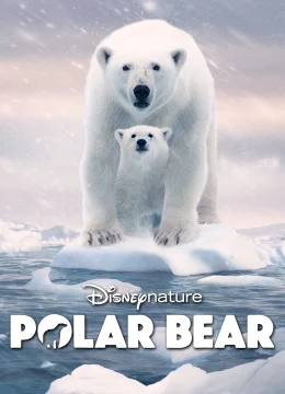 Xem Phim Gấu Bắc Cực Vietsub HD Online