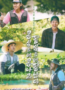 Xem Phim Gieo Gì Gặt Nấy Vietsub HD Online