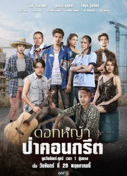 Xem Phim Hoa Dại Giữa Thành Phố Vietsub HD Online