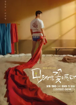 Xem Phim Hoa Nở Trên Cát Vietsub HD Online