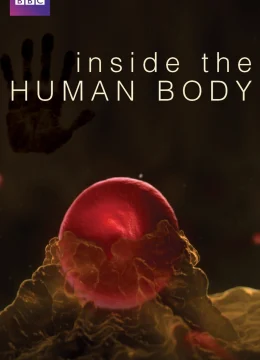 Xem Phim Inside the Human Body Vietsub HD Online