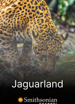 Xem Phim Jaguarland Vietsub HD Online