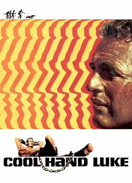 Xem Phim Kẻ Trơ Tráo Vietsub HD Online