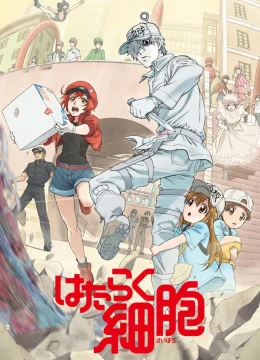 Xem Phim Khi Các Tế Bào Làm Việc (Phần 1) Vietsub HD Online