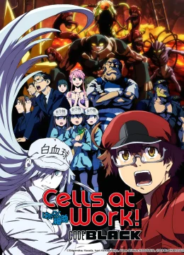 Khi các tế bào làm việc trong cơ thể trung niên BLACK