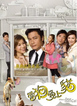 Khi Chó Yêu Mèo