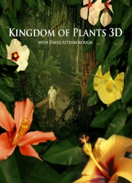 Xem Phim Kingdom of Plants Vietsub HD Online