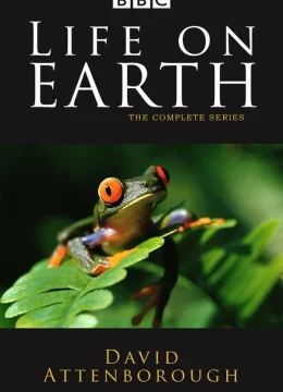 Xem Phim Life on Earth Vietsub HD Online