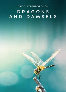 Loài Chuồn Chuồn