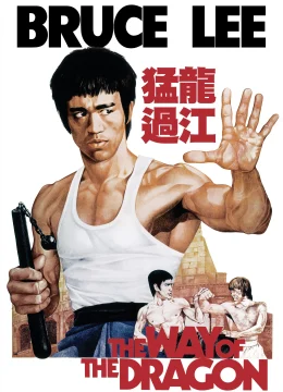 Mãnh Long Quá Giang