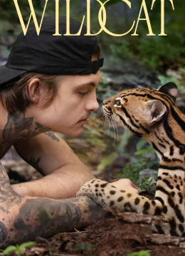 Xem Phim Mèo Hoang Vietsub HD Online