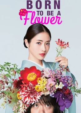 Nàng Hoa Trên Đỉnh Núi