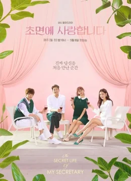 Nàng Thư Ký Của Tôi