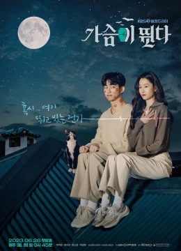 Nhịp Đập Trái Tim