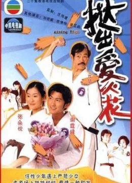 Xem Phim Nhu Đạo Tiểu Tử Vietsub HD Online