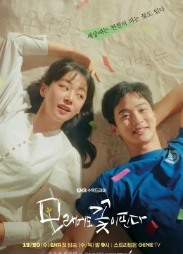 Xem Phim Như Hoa Trên Cát Vietsub HD Online