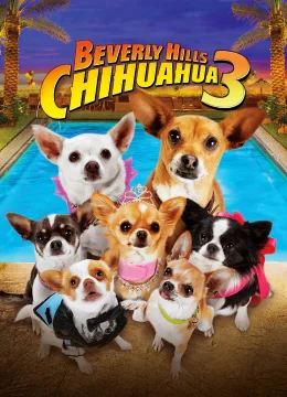 Xem Phim Những Chú Chó Chihuahua 3 Vietsub HD Online
