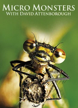 Xem Phim Những Quái Vật Tý Hon Vietsub HD Online