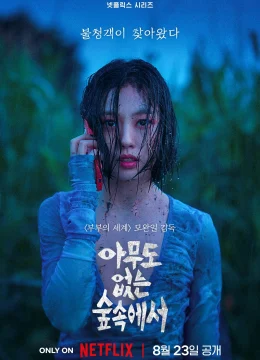 Rừng không tiếng