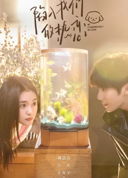 Sa Vào Tình Yêu Cuồng Nhiệt Của Chúng Ta