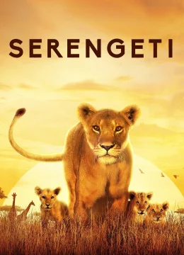 Xem Phim Serengeti Vietsub HD Online