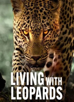 Xem Phim Sống cùng báo hoa Vietsub HD Online