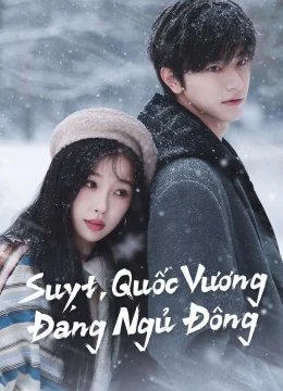 Xem Phim Suỵt, Quốc Vương Đang Ngủ Đông Vietsub HD Online