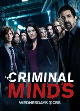 Tâm Lý Tội Phạm (Phần 13)