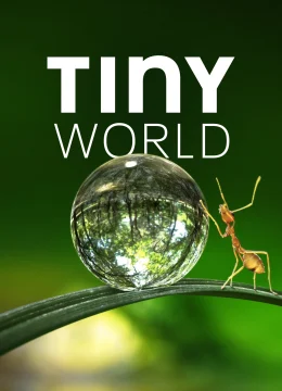 Xem Phim Thế Giới Siêu Nhỏ (Phần 1) Vietsub HD Online