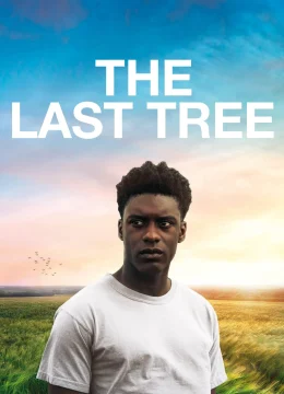 Xem Phim The Last Tree Vietsub HD Online