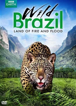 Xem Phim Thiên Nhiên Brazil Hoang Dã Vietsub HD Online